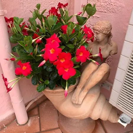 Appartement Hollywood