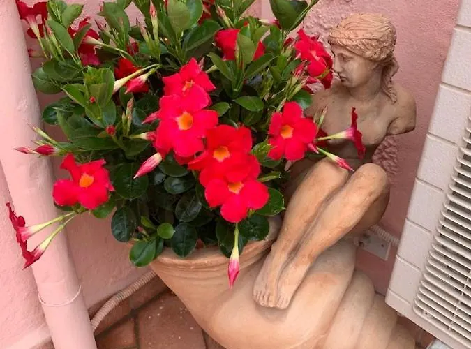 Apartamento Hollywood